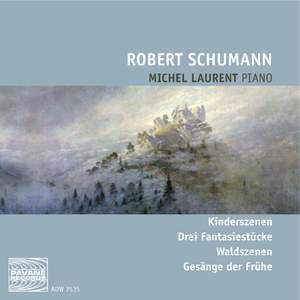 Robert Schumann: Piano Works