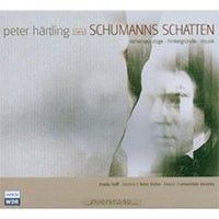 Schumanns Schatten