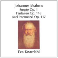 Brahms: Piano Works Vol. 1