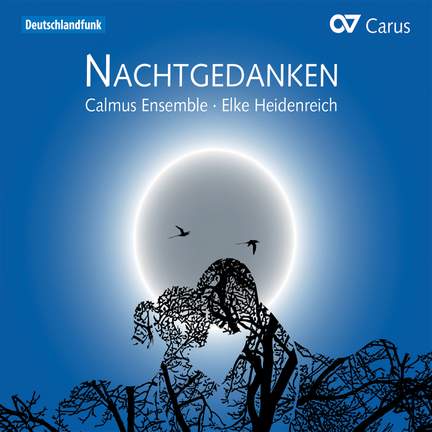 Elke Heidenreich: Night Thoughts