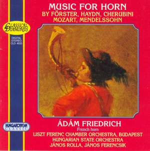 Works for Horn Product Image