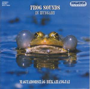 Frog Sounds In Hungary