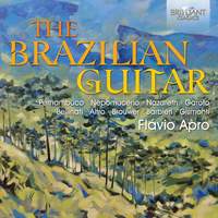 The Brazilian Guitar