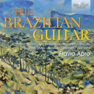 The Brazilian Guitar