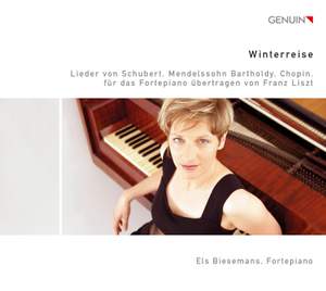 Winterreise: Songs without Words