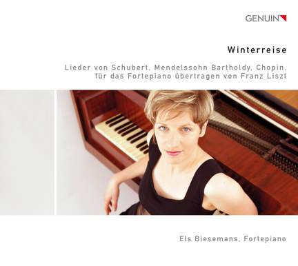 Winterreise: Songs without Words