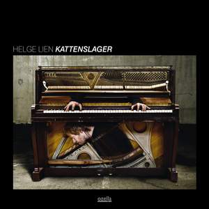 Helge Lien: Kattenslager