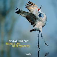Edgar Knecht: Dance On Deep Waters