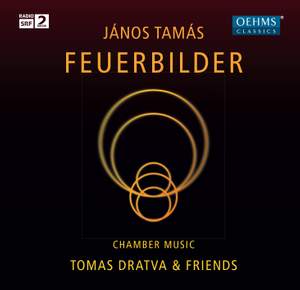 János Tamás: Feuerbilder