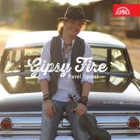 Gipsy Fire: Pavel Sporcl