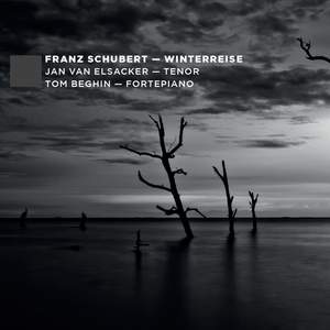Schubert: Winterreise D911 Product Image