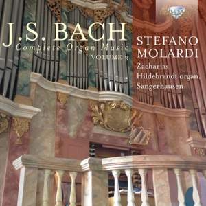 JS Bach: Complete Organ Music, Vol. 3