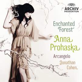 Enchanted Forest