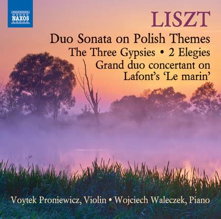 Liszt: Works for Violin & Piano