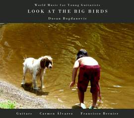 Look at the Big Birds