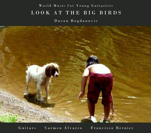 Look at the Big Birds