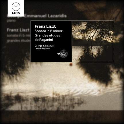 Liszt: Sonatas and Etudes
