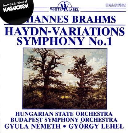 Brahms: Haydn Variations & Symphony No. 1