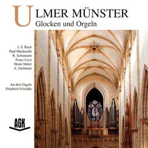 Ulmer Münster - Glocken und Orgeln