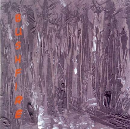 Bushfire