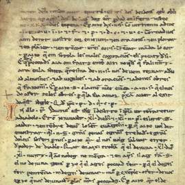 Carbonell: Homilies d'Organyà