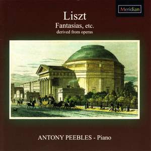 Liszt: Fantasias, et al.