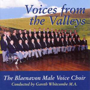 Voices from the Valleys