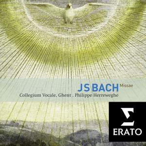 JS Bach: Masses & Sanctus Product Image