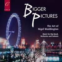 Bigger Pictures : the Art of Nigel Waddington