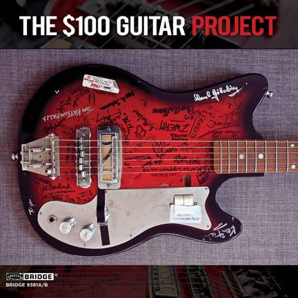 $100 Guitar Project