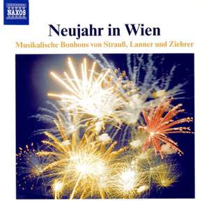 Neujahr in Wien