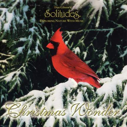 Christmas Wonder