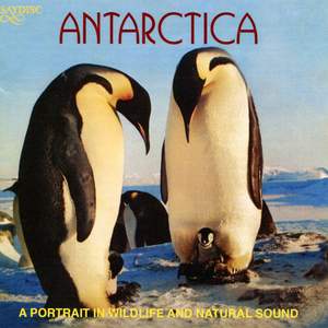 Antarctica - A Portrait in Wildlife and Natural Sound