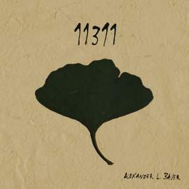11311