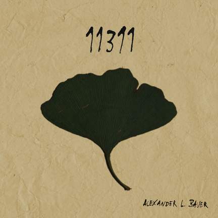 11311