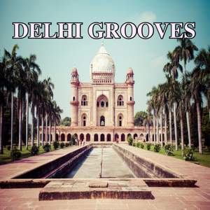 Delhi Grooves