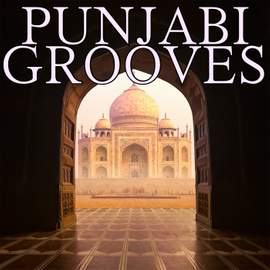 Punjabi Grooves