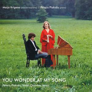 You Wonder at My Song
