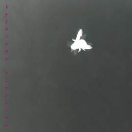 Lucia Ronchetti: Xylocopa Violacea (Solo per viola and live-electronics)