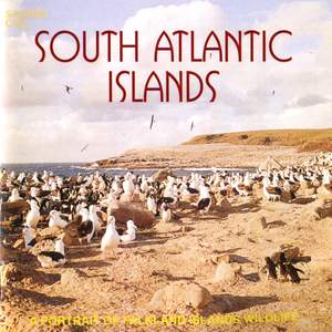 South Atlantic Islands - A Portrait of Falkland Islands Wildlife