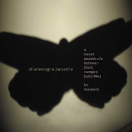 Palestine: A Sweet Quasimodo Between Black Vampire Butterflies for Maybeck