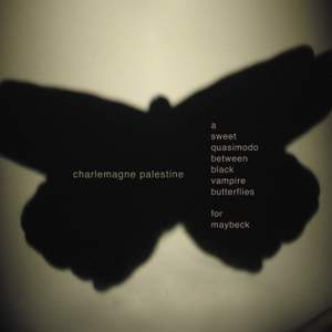 Palestine: A Sweet Quasimodo Between Black Vampire Butterflies for Maybeck
