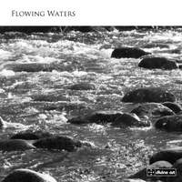 Luke Whitlock: Flowing Waters