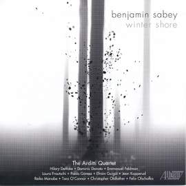 Benjamin Sabey: Winter Shore