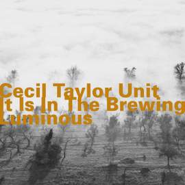 It Is in the Brewing Luminous