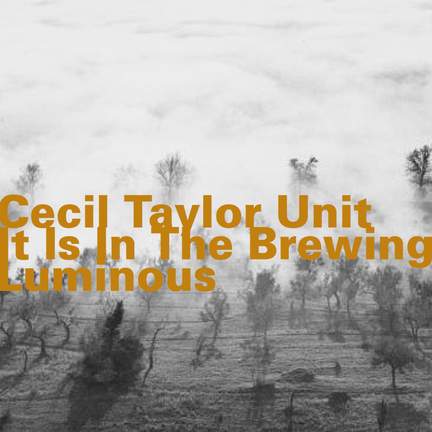 It Is in the Brewing Luminous