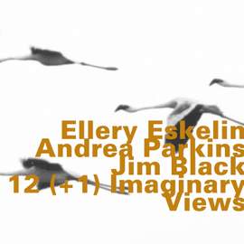 12(+1) Imaginary Views