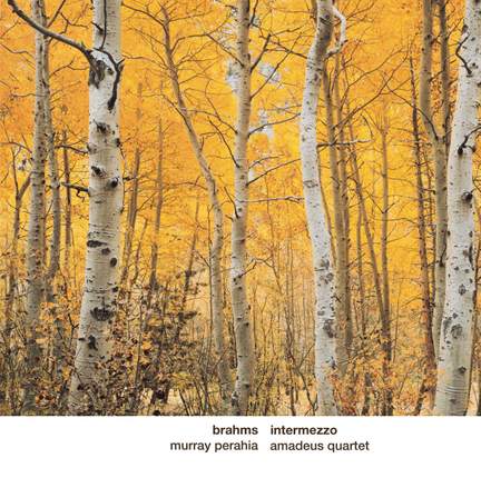 Brahms: Intermezzo