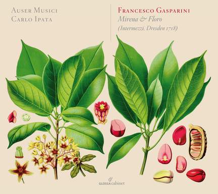 Francesco Gasparini: Mirena & Floro