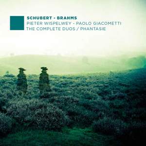 Schubert - Brahms: The Complete Duos / Phantasie